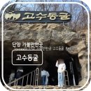 고수동굴 주차장 | 액티비티 탐방 - 단양 가볼 만한 곳 고수동굴 솔직 후기