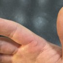 WS복싱클럽(구산) | 남녀노소 누구나 즐기는 WS복싱클럽 구산점^^ 은평구 역촌동/구산동/대조동/갈현동 정통복싱 다이어트...