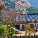 아산이레농장 이미지