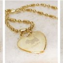 창원시 동물보호센터 동물병원 이미지