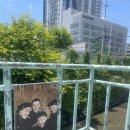아남의원 네이버블로그