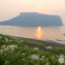 (주)성산일출 이미지