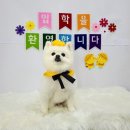 몽그라운드