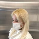 살롱드비율 이미지