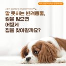 중계이오동물병원 이미지