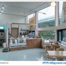 퍼피펍피 이미지