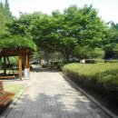 압구정현대아파트 11동 전세▶214㎡/압구정아파트 재건축(65306) 이미지