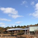 호텔 진 | 제주 포도호텔 : 유동룡 건축가의 정체성이 느껴진 디럭스 양실 후기(레스토랑, 온천)