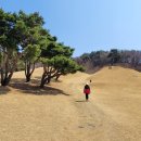 포은선생묘역 이미지