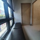 명진동물병원 | 대구동물병원 대구고양이병원 명진동물병원 랑이네가족들 첫 예방접종 맞고 왔어요!