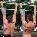 1호피티 이미지