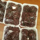 제일떡방아 이미지