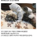 난향동-13 이미지