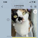 조앤박동물병원 이미지