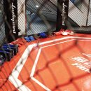 봉호복싱 이미지