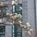 제일한방실업 네이버블로그