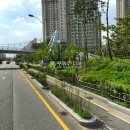 영성동로 이미지