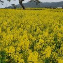 2019-주093 이미지