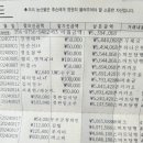 2024년 8월 정기여행 수입 및 지출 현황~~~~~~ 이미지