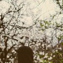 동산여자 이미지