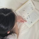 호기심 만발 과학 실험왕(초등)(수시접수) | [공지] [영재원필독서] 앗, 시리즈 20주년 기념 리뉴얼판 70권 세트 Open!!