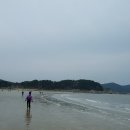 학암포 주차장 이미지