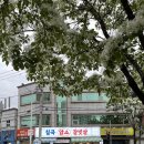 칠곡 암소갈빗살 - 49 | 칠곡 암소갈빗살