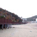 왜목마을 관광지 이미지