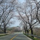 구림중 | 영암 원플러스원여행, 1+1 반값여행 솔직 후기