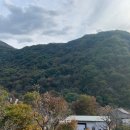 와운골가든 이미지