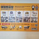 펜션드라마