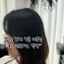 백연미용실