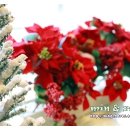 분당-수내-308 이미지