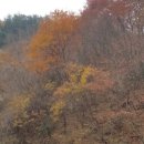 1000고지영농조합법인
