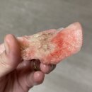 정인농원