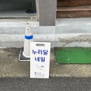 누리달네일
