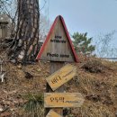 바다와 파도소리 이미지