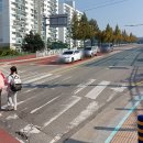 삼보초등학교 앞 이미지