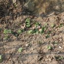 남천축사 이미지