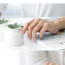 아이리스플라워 이미지