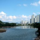 하천(갑천6) 이미지