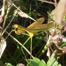 베리팜 펜션 이미지