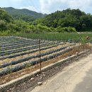 도촌1리경로당 이미지