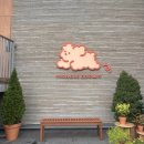 몽글펫 | 남양주 애견카페 몽글브라운 솔직후기 | 천연잔디에서 우리 강아지 신났어요