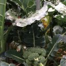 윤우농장 이미지