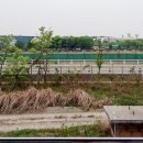 고양화전15 이미지