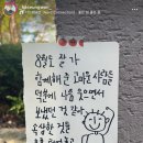 AUGUST 5th week diary: 사진기록