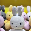 해양레포츠센터 화장실 이미지