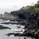 표선농협주유소 이미지