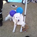 대매농장 이미지